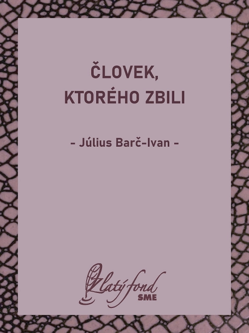 Človek, ktorého zbili
